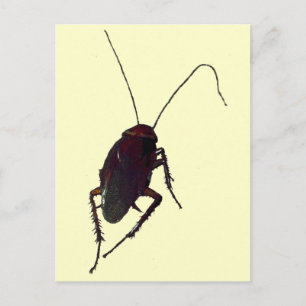 Crunchy Cockroach Briefkaart
