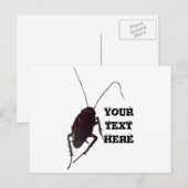 Crunchy Cockroach Briefkaart (Voorkant / Achterkant)