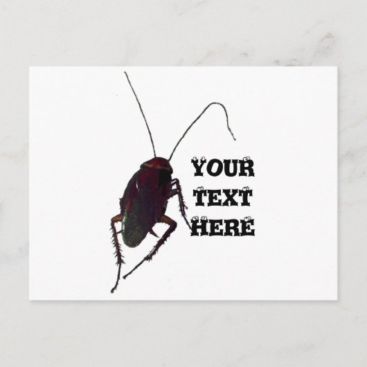 Crunchy Cockroach Briefkaart (Voorkant)