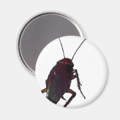 Crunchy Cockroach Magneet (Voorkant / Achterkant)