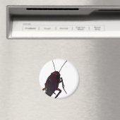 Crunchy Cockroach Magneet (Insitu (Vaatwasser))