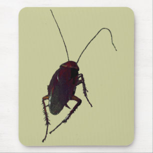 Crunchy Cockroach Muismat