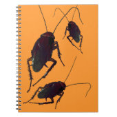 Crunchy Cockroach Notitieboek (Voorkant)