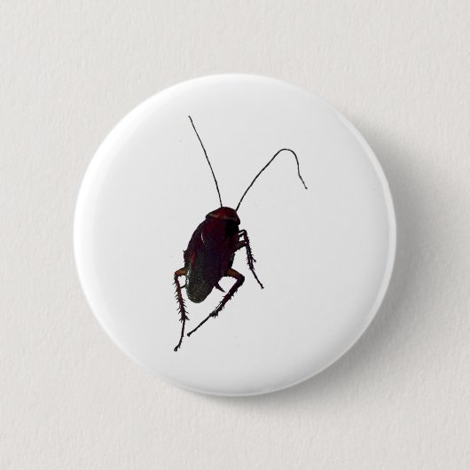Crunchy Cockroach Ronde Button 5,7 Cm (Voorkant)
