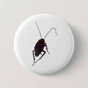 Crunchy Cockroach Ronde Button 5,7 Cm
