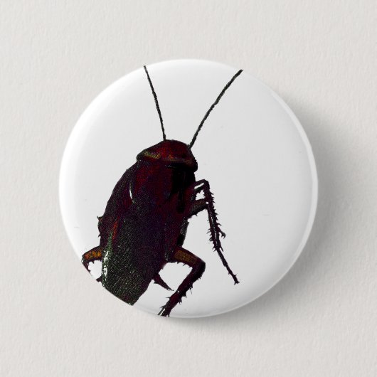 Crunchy Cockroach Ronde Button 5,7 Cm (Voorkant)