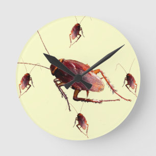 Crunchy Cockroach Ronde Klok
