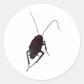 Crunchy Cockroach Ronde Sticker (Voorkant)