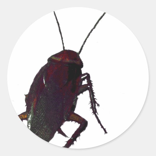 Crunchy Cockroach Ronde Sticker (Voorkant)