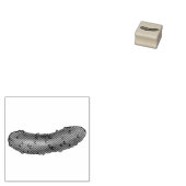 Crunchy Kosher Sour Dill Pickle Pickles Foodie Rubberstempel (Gestempeld)