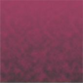 Crushed Bloom Sticker (Voorkant)