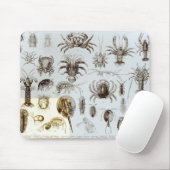 Crustacea en Arachnida Muismat (Met muis)