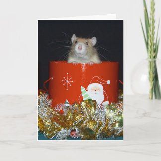 CRW_9063 FEESTDAGEN KAART