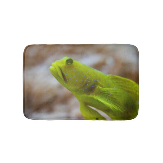 Cryptocentrus cinctus badmat (Voorkant)