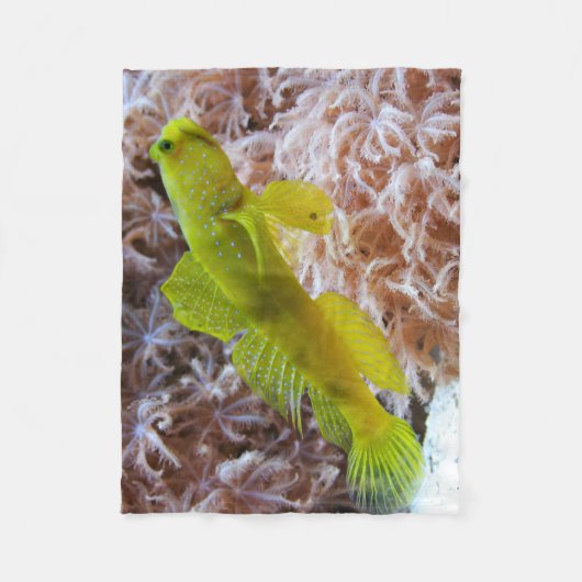 Cryptocentrus cinctus fleece deken (Voorkant)