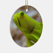 Cryptocentrus cinctus keramisch ornament (Rechts)