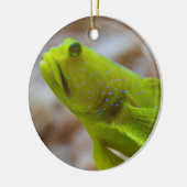 Cryptocentrus cinctus keramisch ornament (Links)