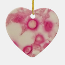 Cryptokokken-Ornament