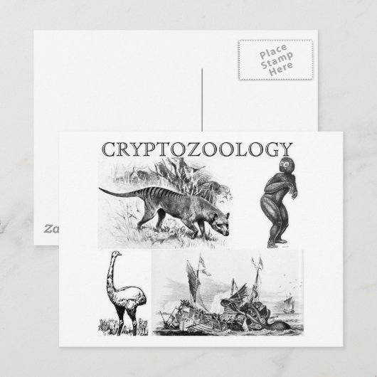 cryptozoölogy postcard briefkaart (Voorkant / Achterkant)