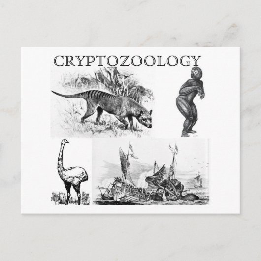 cryptozoölogy postcard briefkaart (Voorkant)