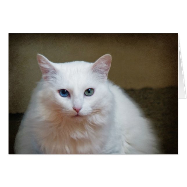 Crystal (Voorkant Horizontaal)