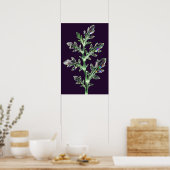Crystal Arugula Poster — Crystal Harvest (Keuken)