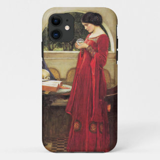 Crystal Ball van Waterhouse - iPhone 5Hoesje-Mate iPhone 11 Hoesje