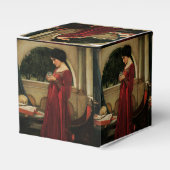 Crystal Ball Woman Waterhouse Painting Bedankdoosjes (Voorkant Zijde)