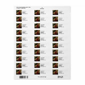 Crystal Ball Woman Waterhouse Painting Etiket (Full Sheet)