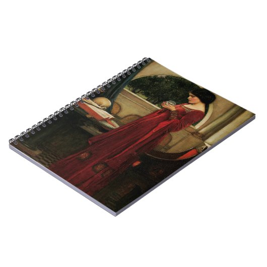 Crystal Ball Woman Waterhouse Painting Notitieboek (Linkerzijde)