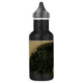 Crystal Ball Woman Waterhouse Painting Waterfles (Links)