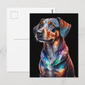 Crystal Brown Dog Briefkaart (Voorkant / Achterkant)