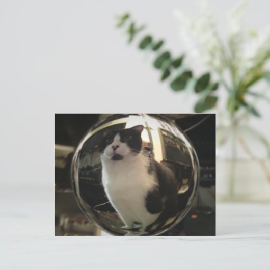 Crystal Cat Briefkaart (Staand voorkant)