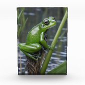 Crystal Clarity: Green Glass Frog op River Reeds Fotoblokken (Voorkant)