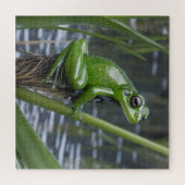 Crystal Clarity: Green Glass Frog op River Reeds Legpuzzel (Horizontaal)