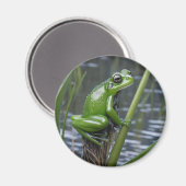 Crystal Clarity: Green Glass Frog op River Reeds Magneet (Voorkant / Achterkant)