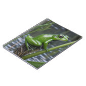 Crystal Clarity: Green Glass Frog op River Reeds Notitieboek (Linkerzijde)