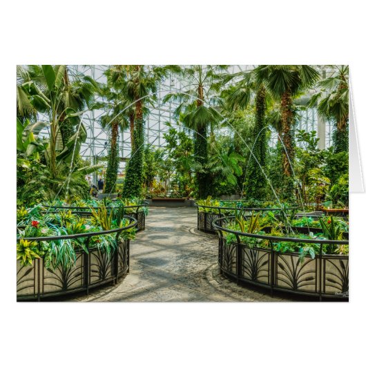 Crystal Gardens Leap Fountain (Voorkant Horizontaal)