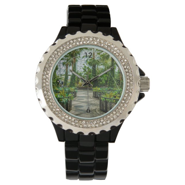 Crystal Gardens Leap Fountain Horloge (Voorkant)