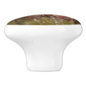 Crystal Geode Sphere Crystals Keramische Knop (Zijkant)