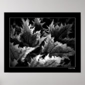 Crystal Morning Poster (Voorkant)