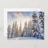 Crystal Mountain Ski Resort bij Mt Rainier 1 Briefkaart (Voorkant / Achterkant)