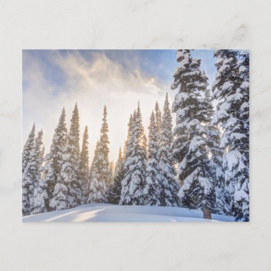 Crystal Mountain Ski Resort bij Mt Rainier 1 Briefkaart (Voorkant)