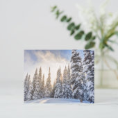 Crystal Mountain Ski Resort bij Mt Rainier 1 Briefkaart (Staand voorkant)