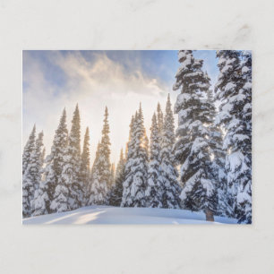 Crystal Mountain Ski Resort bij Mt Rainier 1 Briefkaart