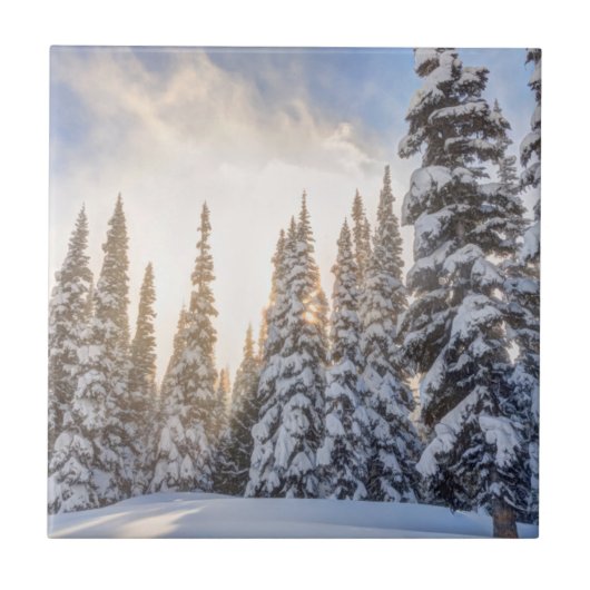 Crystal Mountain Ski Resort bij Mt Rainier 1 Tegeltje (Voorkant)