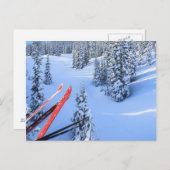 Crystal Mountain Ski Resort bij Mt. Rainier 2 Briefkaart (Voorkant / Achterkant)
