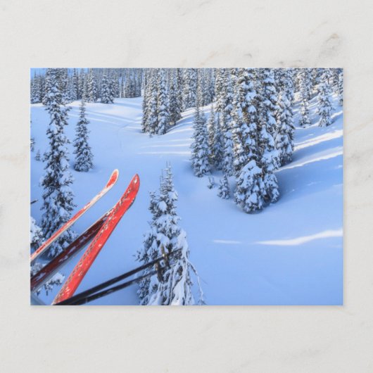 Crystal Mountain Ski Resort bij Mt. Rainier 2 Briefkaart (Voorkant)