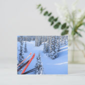 Crystal Mountain Ski Resort bij Mt. Rainier 2 Briefkaart (Staand voorkant)