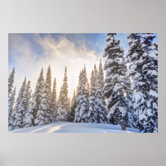 Crystal Mountain Ski Resort, nabij Mt. Rainier 1 Poster (Voorkant)